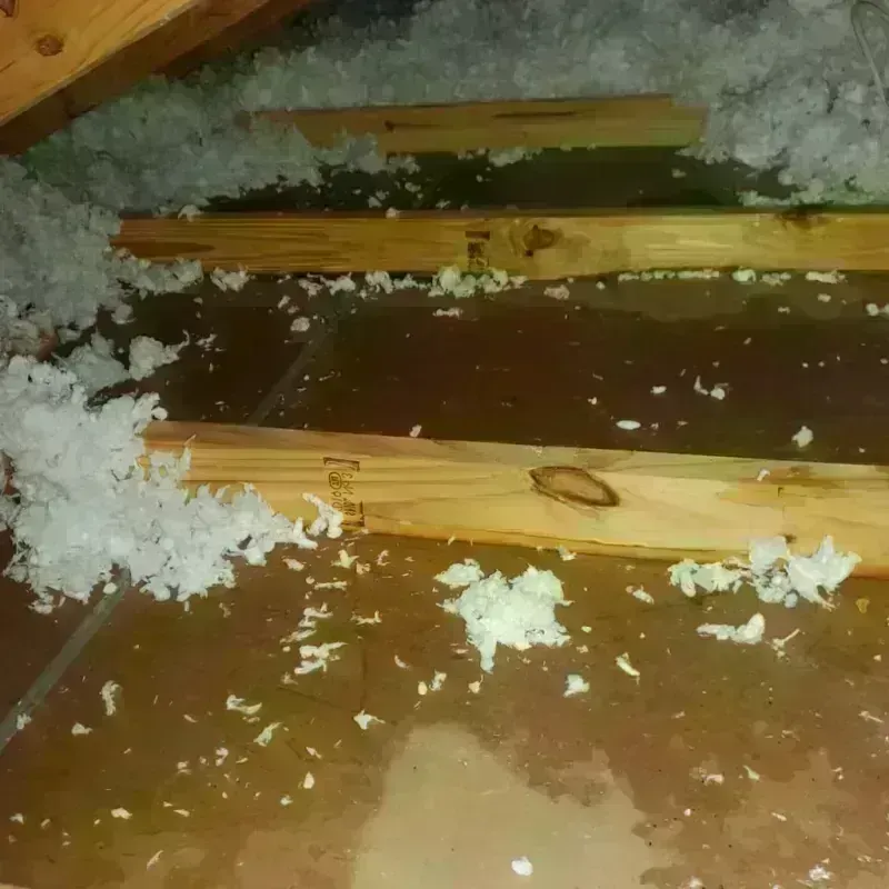 Attic Water Damage in Waunakee, WI