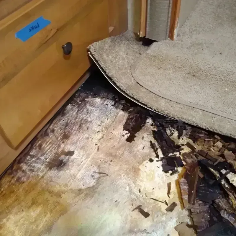 Wood Floor Water Damage in Waunakee, WI